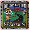 Various Artists - The Blues Came from Mississippi